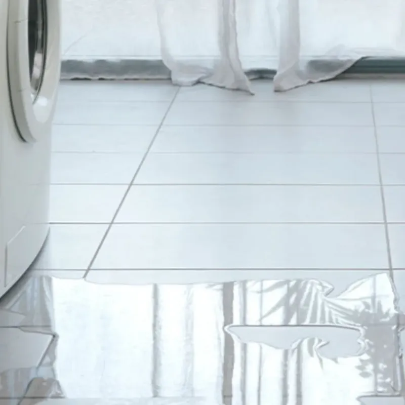 Appliance Leak Cleanup in Richmond, ME